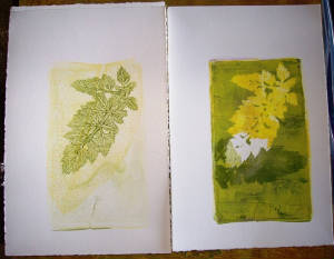 2012photos/webMonotype34.JPG