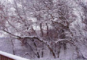 Scenery/Nov2518.JPG