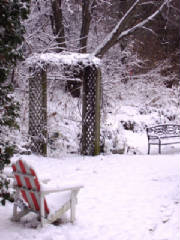 Scenery/Nov2518.JPG