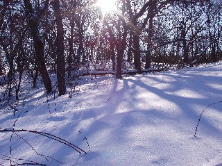 Scenery/WintersunWebview.jpg