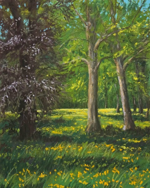 kay15/webPleinAir.jpg