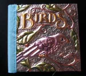workshops/birdbookcoverJudyCP.jpg